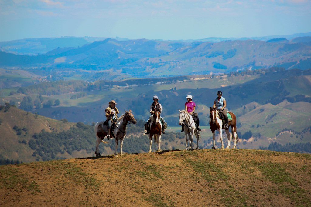 taihape-scenery-on-a-lodge-to-lodge-horse-trek