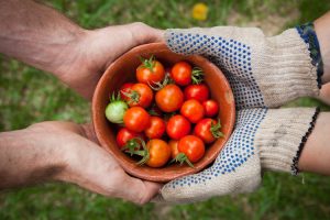 В этой статье ShBarcelona мы поговорим о продуктовых рынках Барселоны.