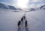 Прокатиться на собачьей упряжке в Каталонии