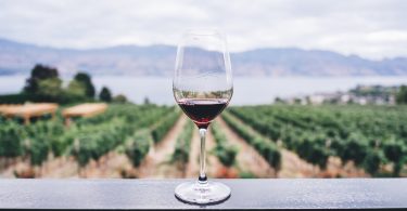 бокал красного вина на фоне полей